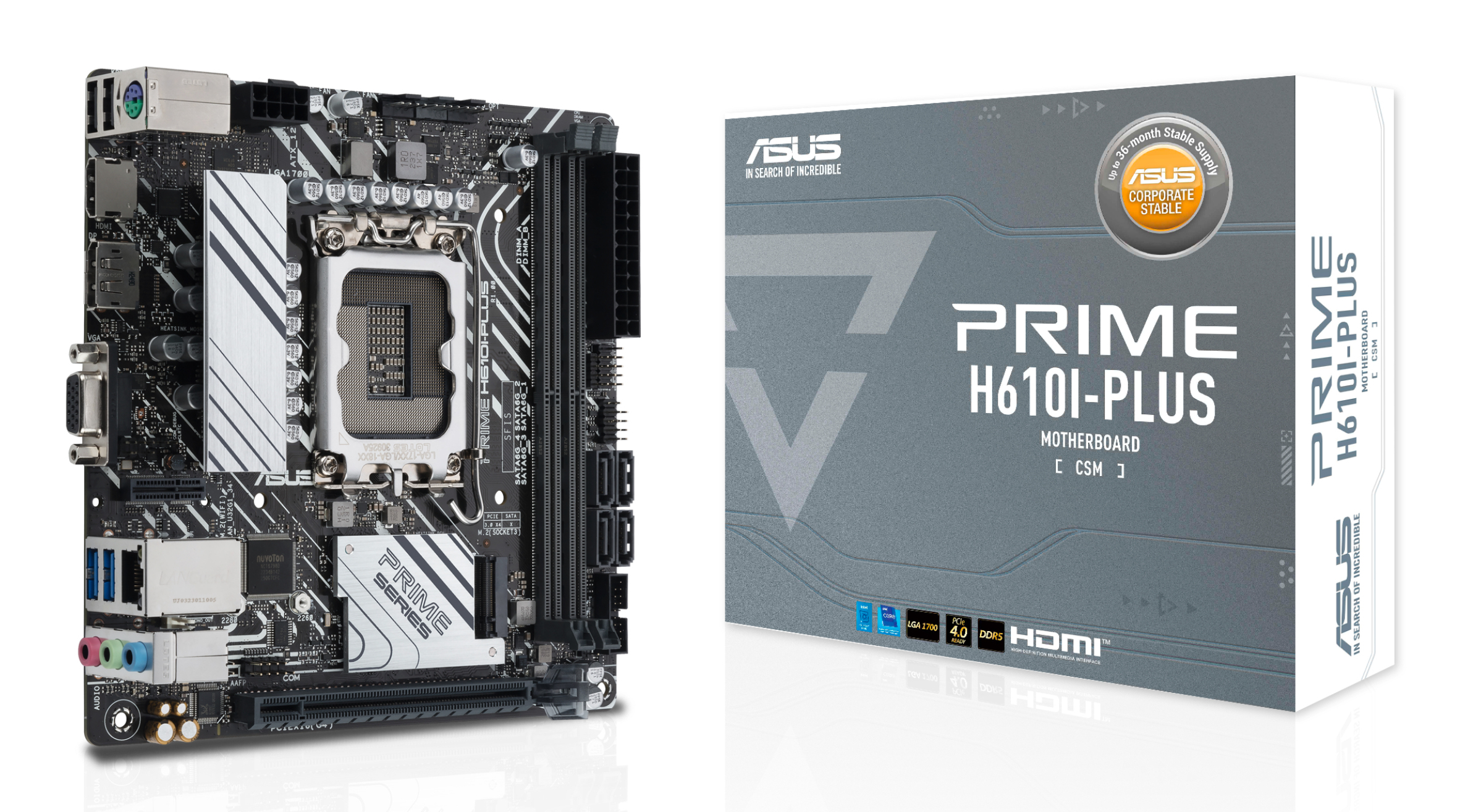 ASUS PRIME H610I PLUS CSM  AMD AM4 DDR4 mATX  PC-Zubehoer
