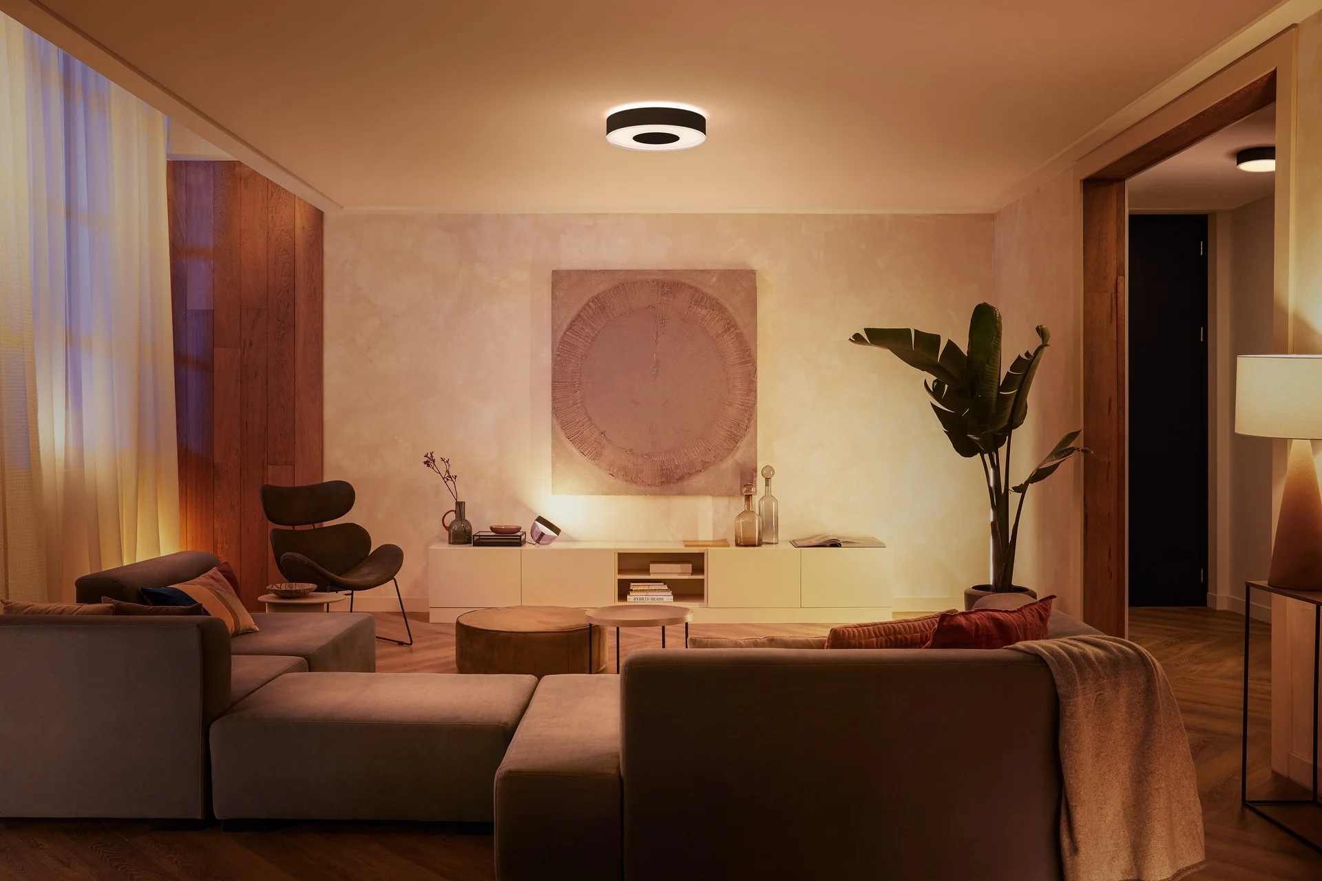 Philips Hue White and Color ambiance Infuse Deckenleuchte M schwarz Deckenleuchten
