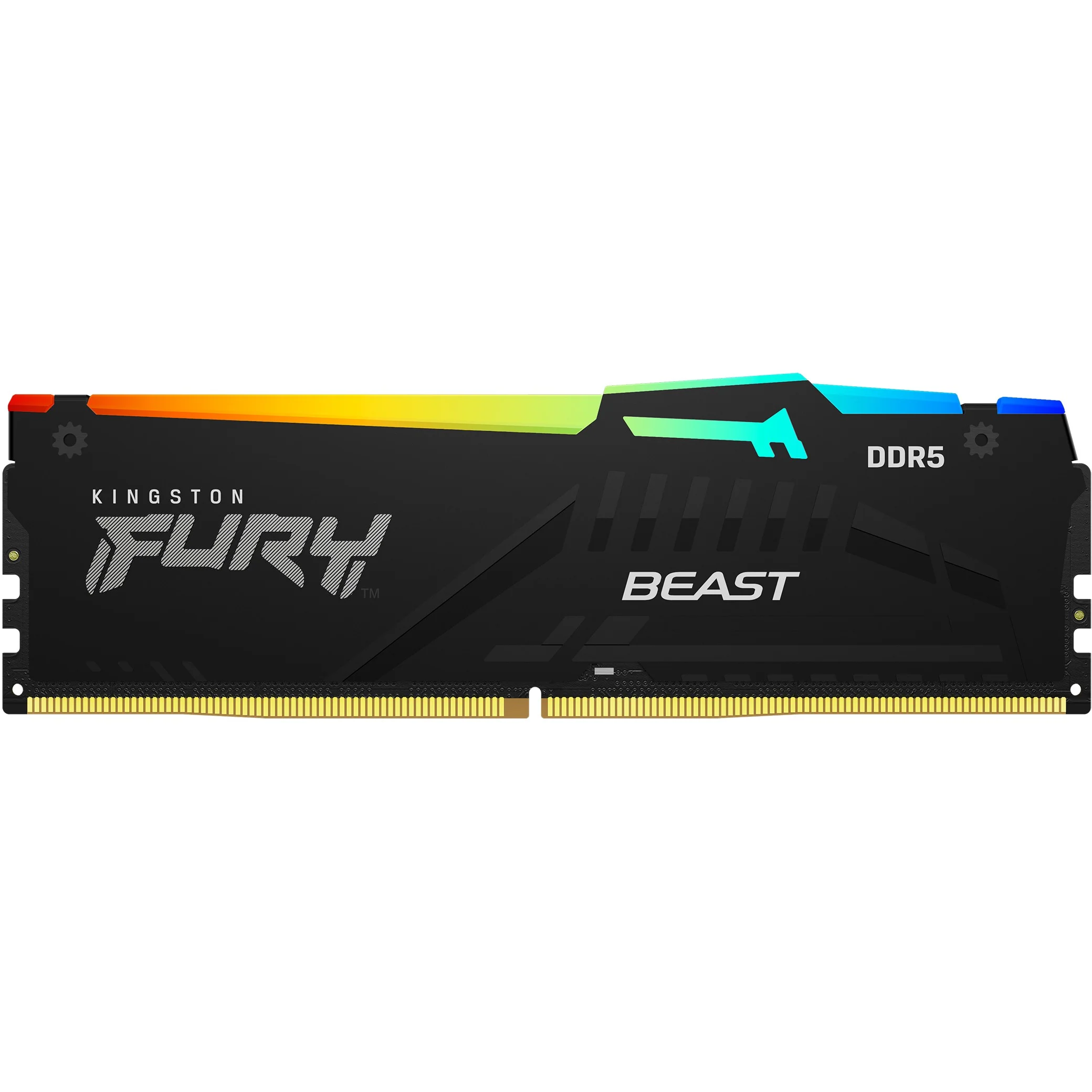 Kingston 16gb 6000mt s ddr5 cl30 dimm fury beast rgb expo Speichermedien