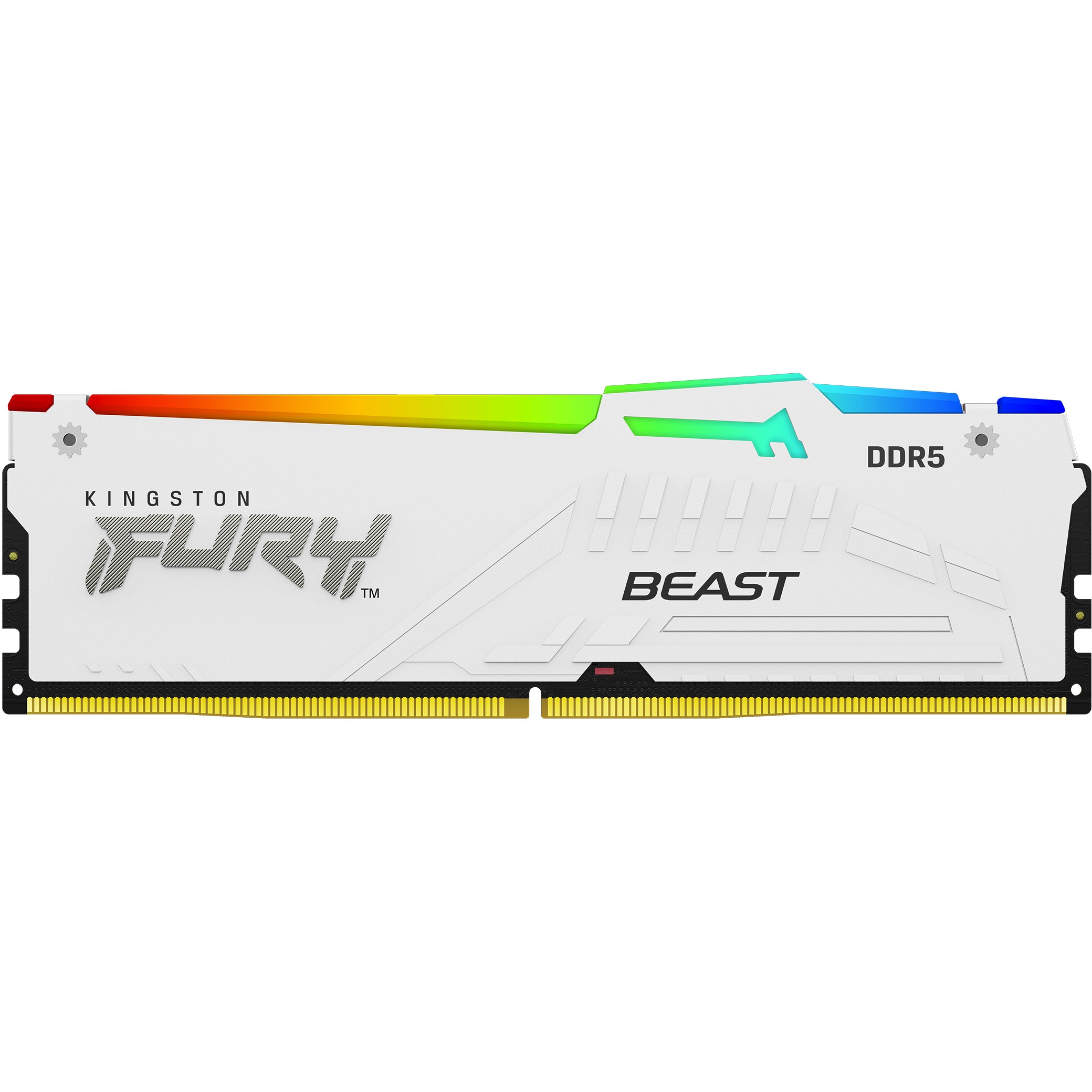 Kingston 32gb 6000mt s ddr5 cl30 dimm kit of 2 fury beast white rgb expo Speichermedien