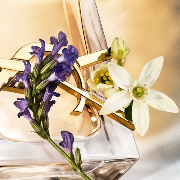 YVES SAINT LAURENT EdP Libre  30 ml Parfuem & Duefte Koerperpflege