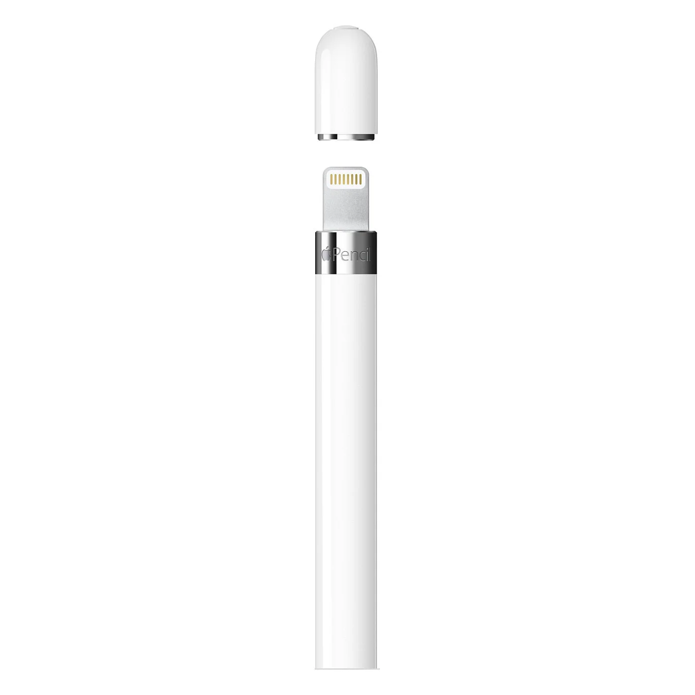 Apple Pencil 1stGeneration fr 12 9 iPad Pro 1  2 Gen   10 5 9 7 iPad Pro   iPad Air 3 Gen   iPad mini 5 Gen   iPad 6 7 8 9 10 Notebook & Tablet Zubehoer