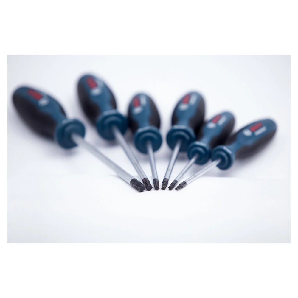 Bosch Professional Schraubendrehersatz TORX  6 tlg  Maschinen & Werkzeuge