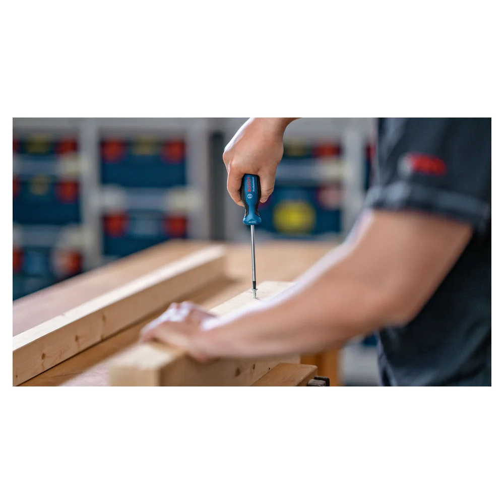 Bosch Professional Schraubendrehersatz TORX  6 tlg  Maschinen & Werkzeuge