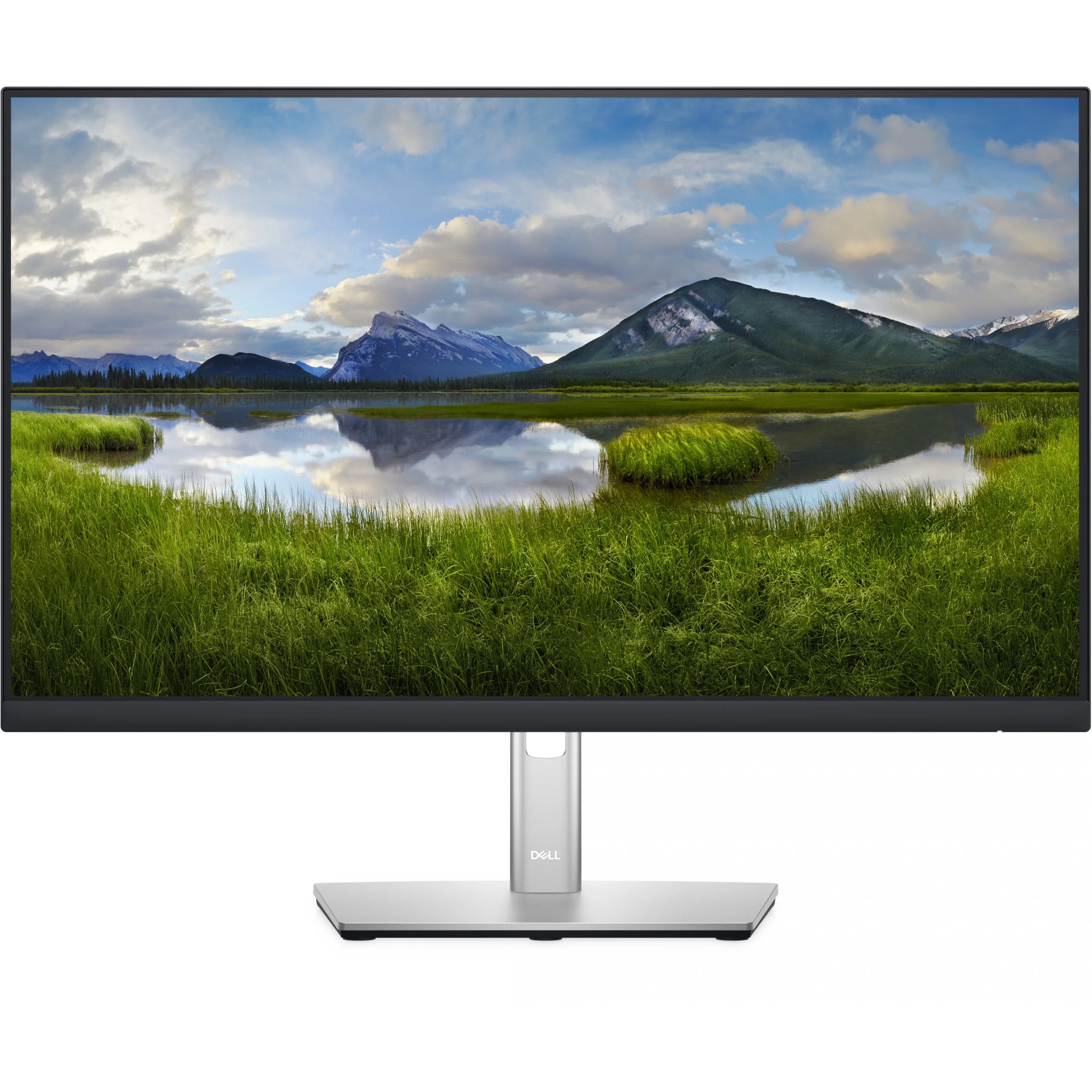 DELL P Series 24 Monitor   P2422H Monitore Video & Audio