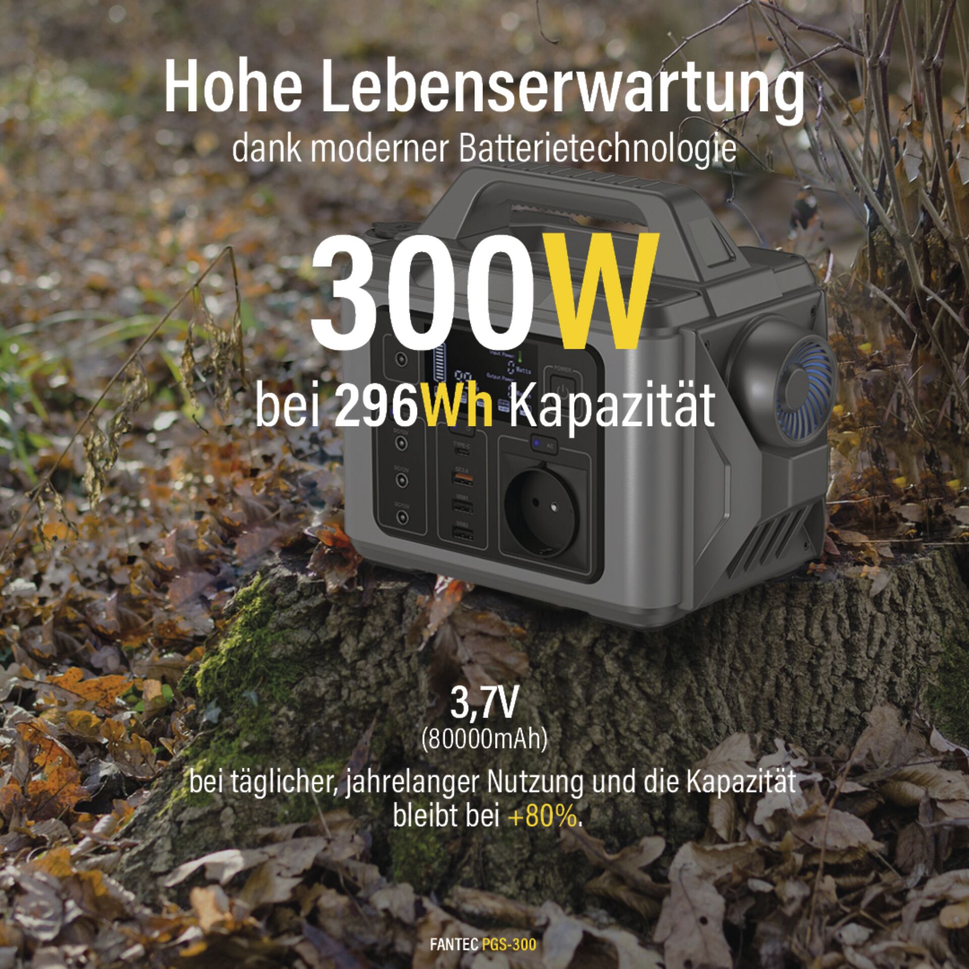 FANTEC PGS 300 Powerstation   Solargenerator Solar & Energie