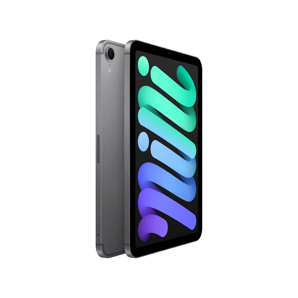 Apple iPad mini 8 3 Wi Fi 128GB  spacegrau  Notebooks & E-Book Reader
