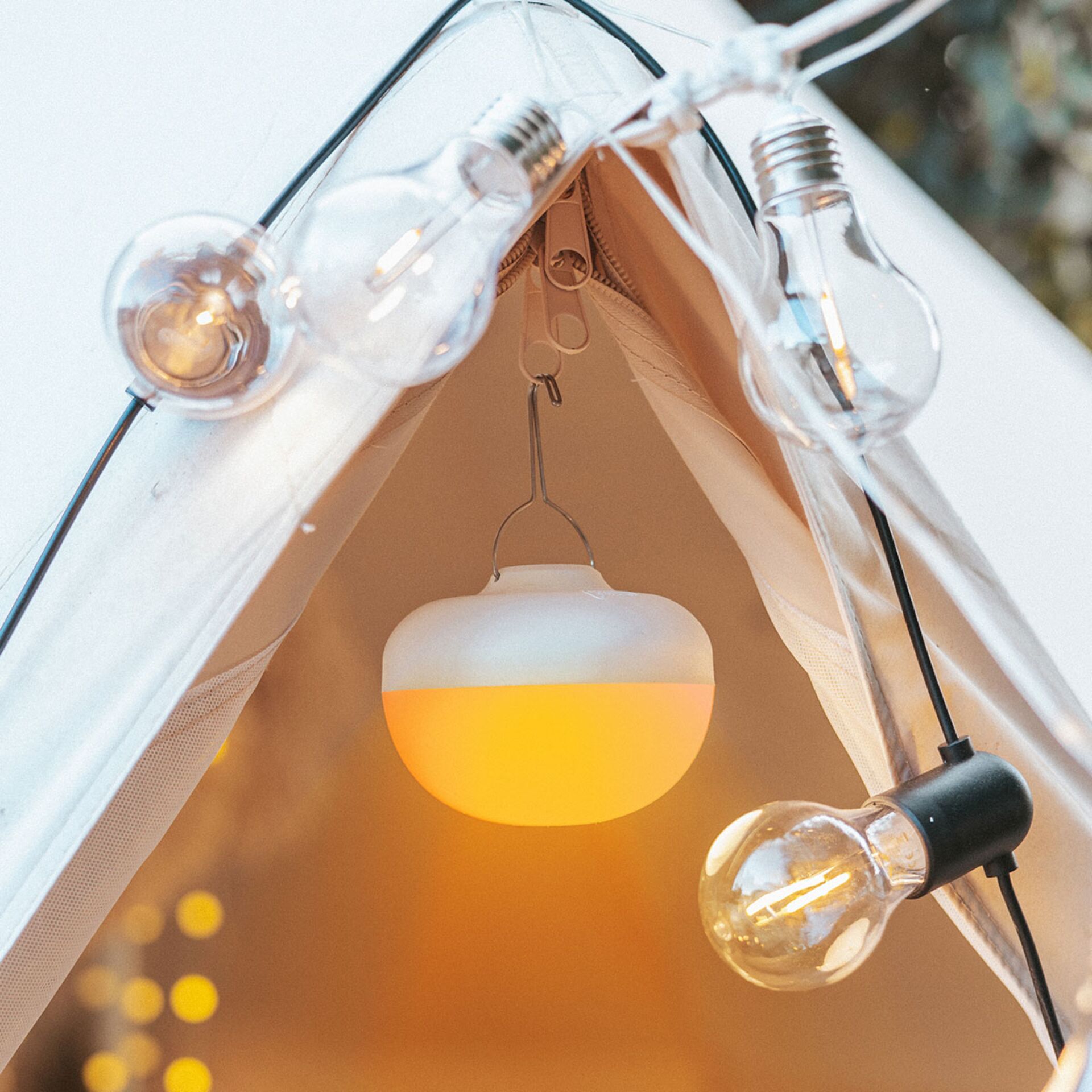 NewGarden New Garden CALABARDINA HANG Cable gruen Beleuchtung