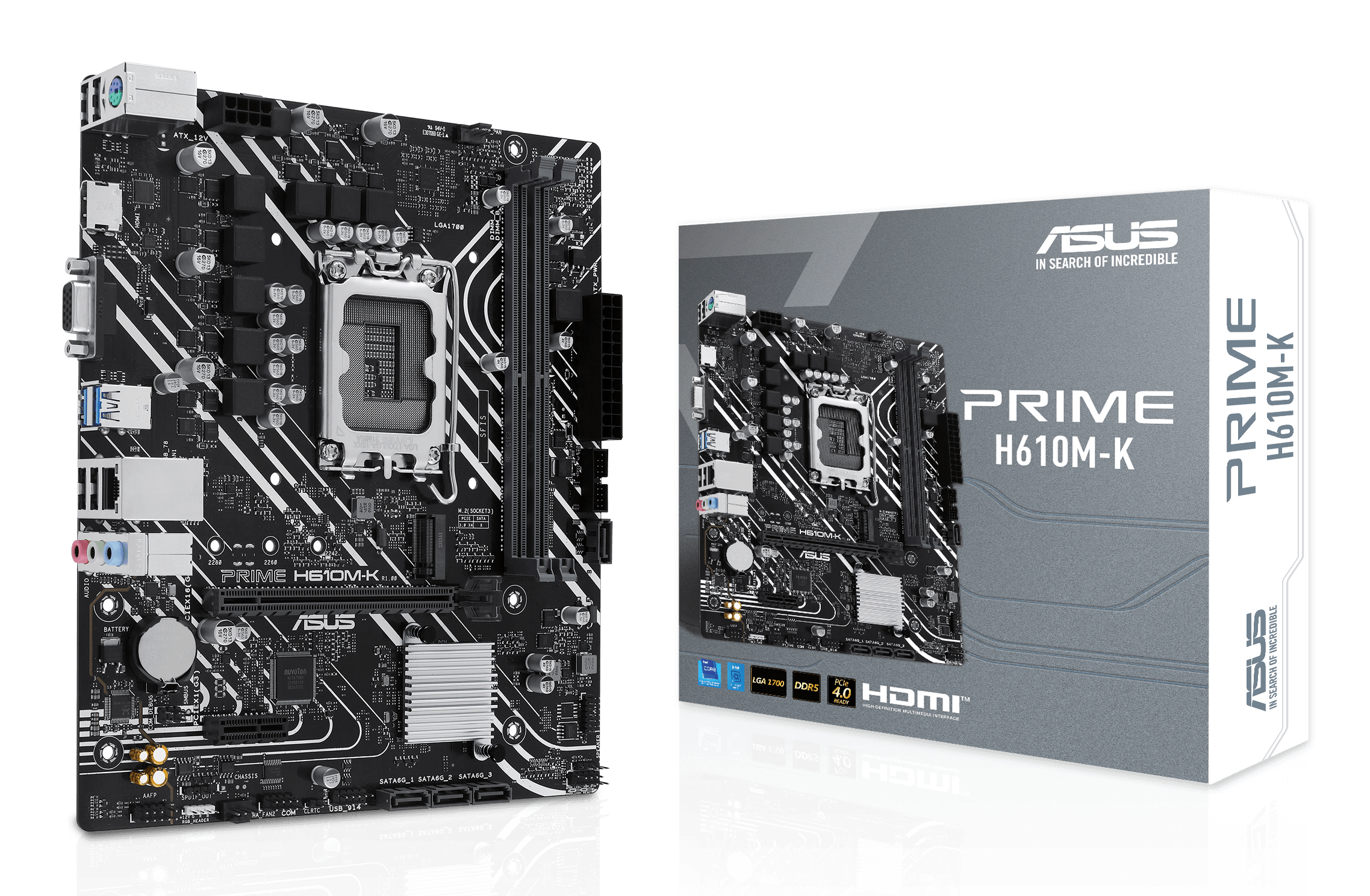 ASUS PRIME H610M K  Intel 1700 DDR5 mATX  PC-Zubehoer