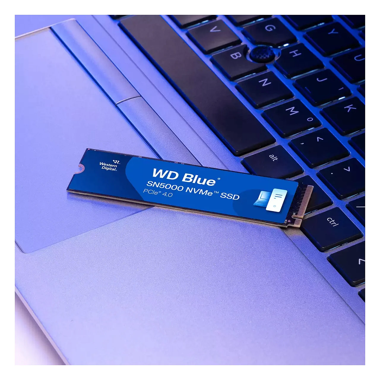 Western Digital M 2 500GB WD Blue SN5000 NVMe PCIe 4 0 x 4 Speichermedien