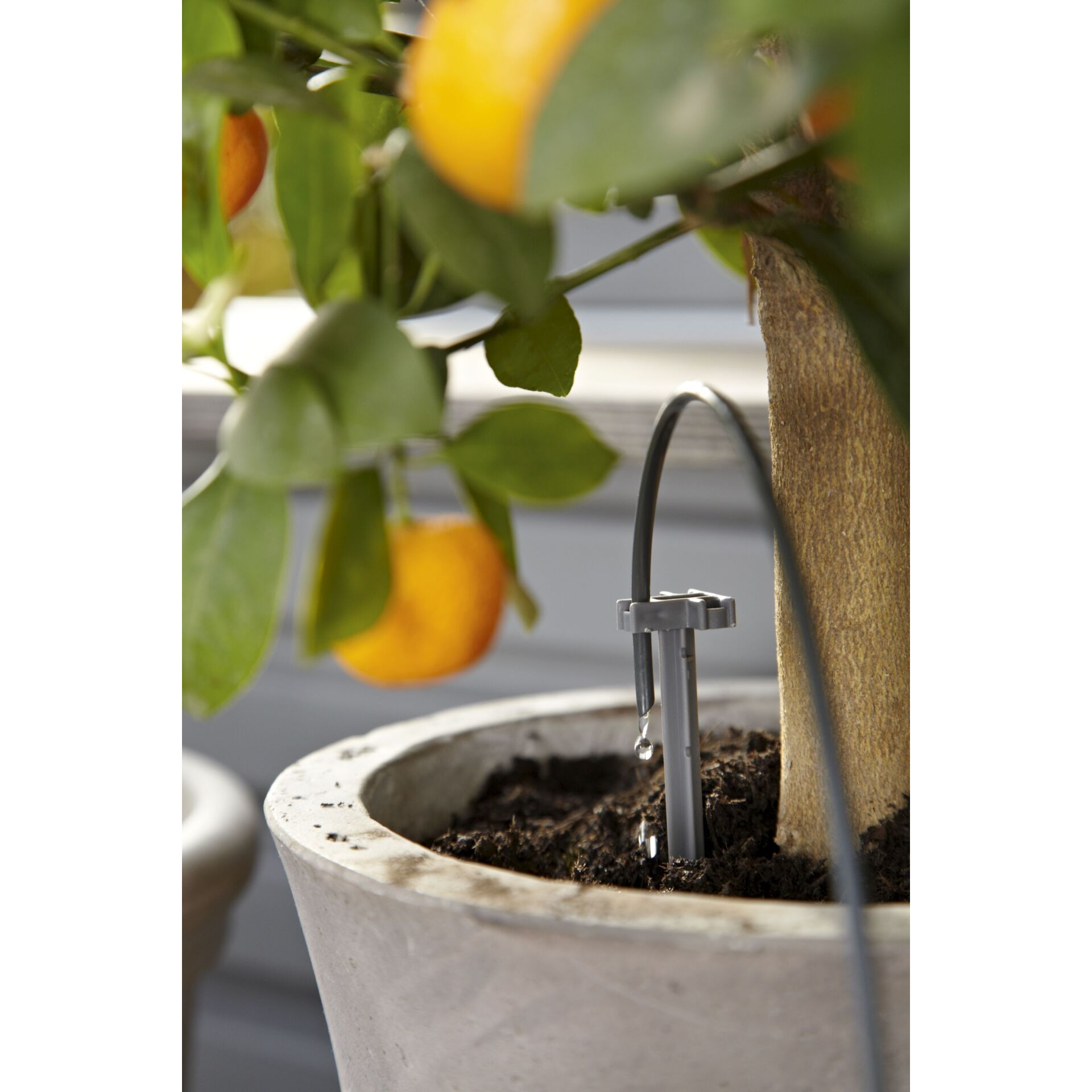 GARDENA Urlaubsbewaesserungs Set 01265 20 Maschinen & Werkzeuge
