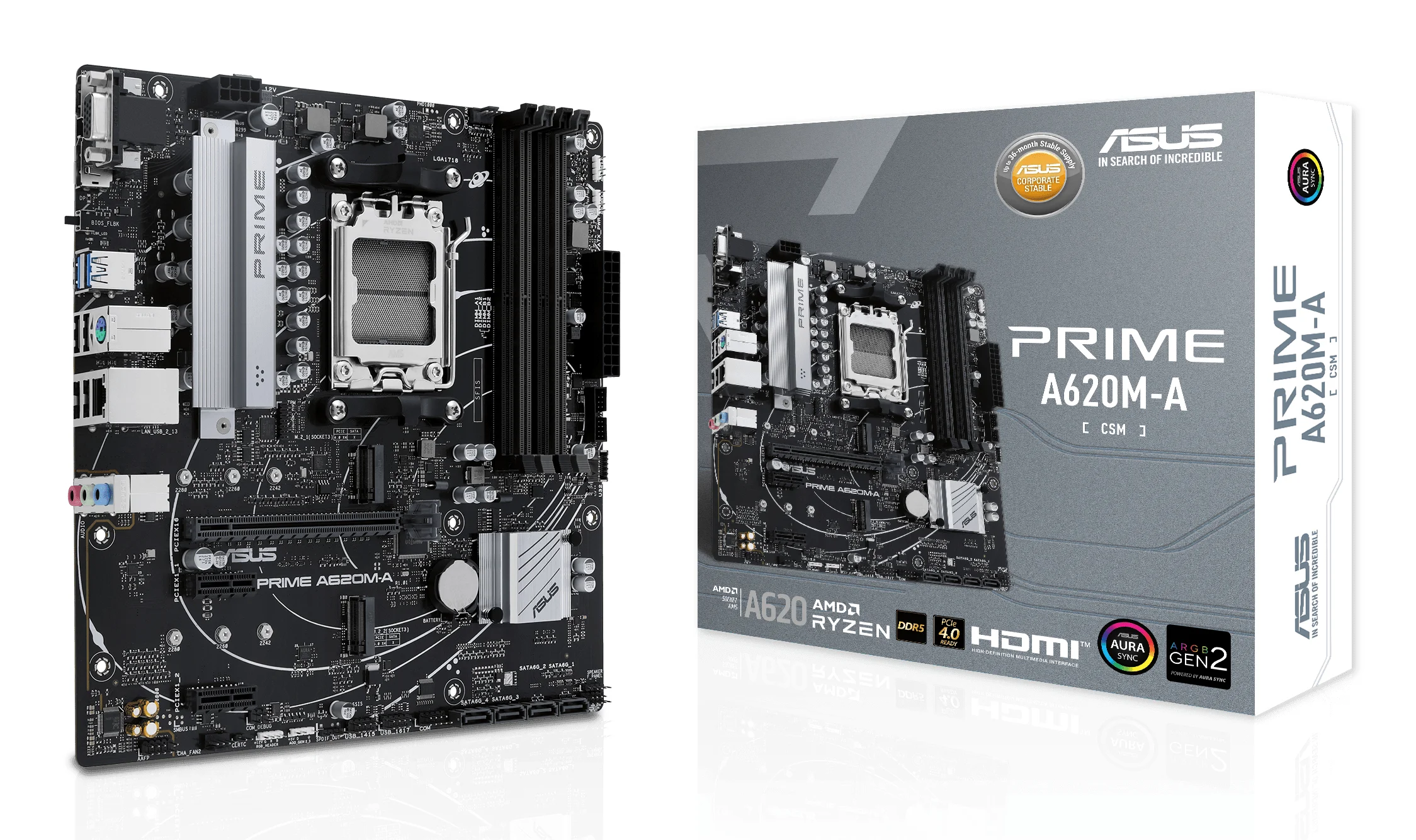 ASUS PRIME A620M A CSM AMD A620 Sockel AM5 micro ATX PC-Zubehoer