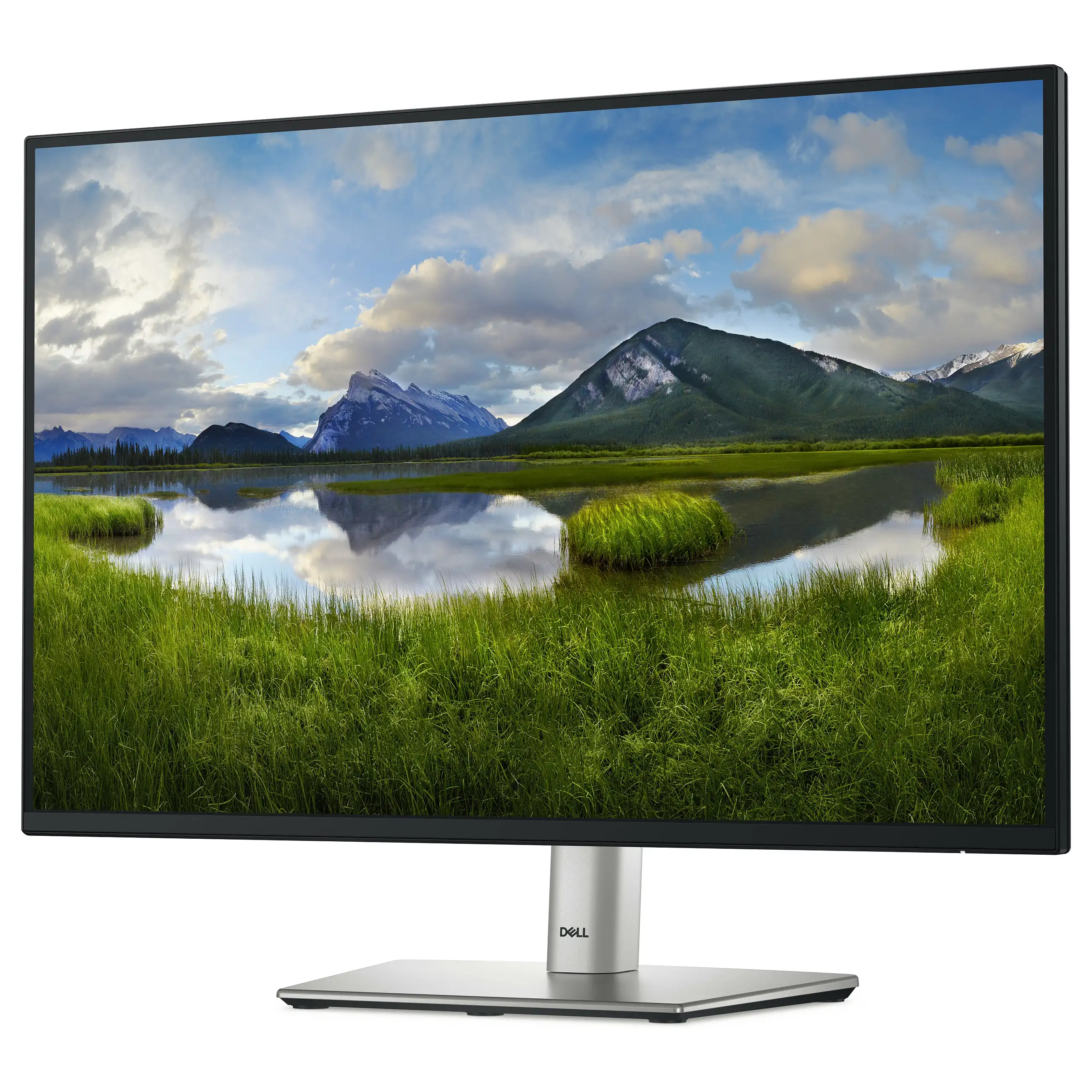 Dell P2425E Monitore
