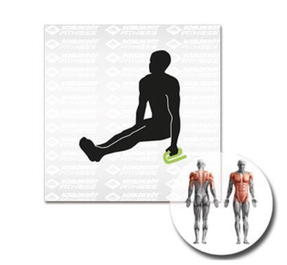 Schildkroet 2 Liegestuetzengriffe Sport