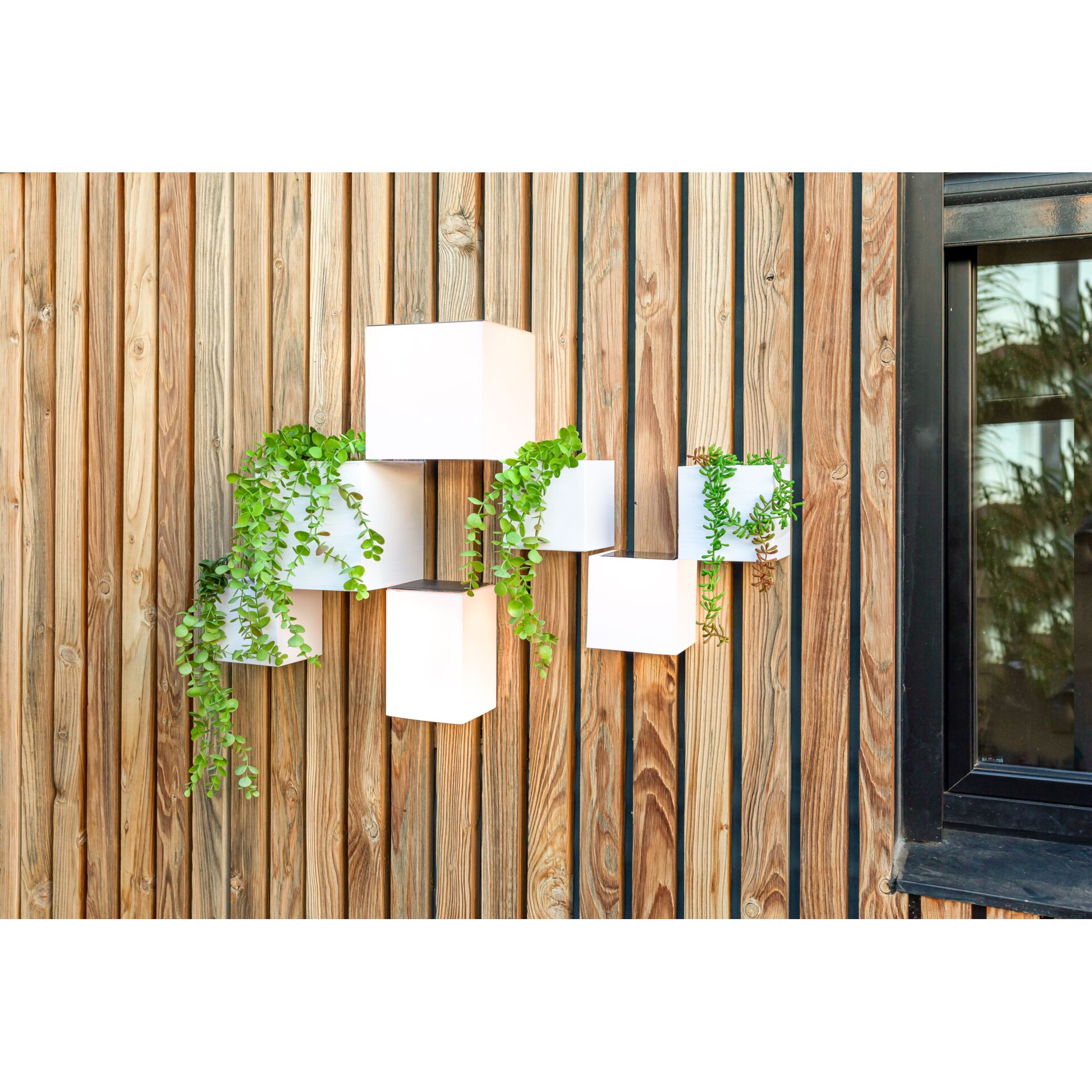 NewGarden New Garden WALLY 12X12X18 SOLAR WALL Beleuchtung