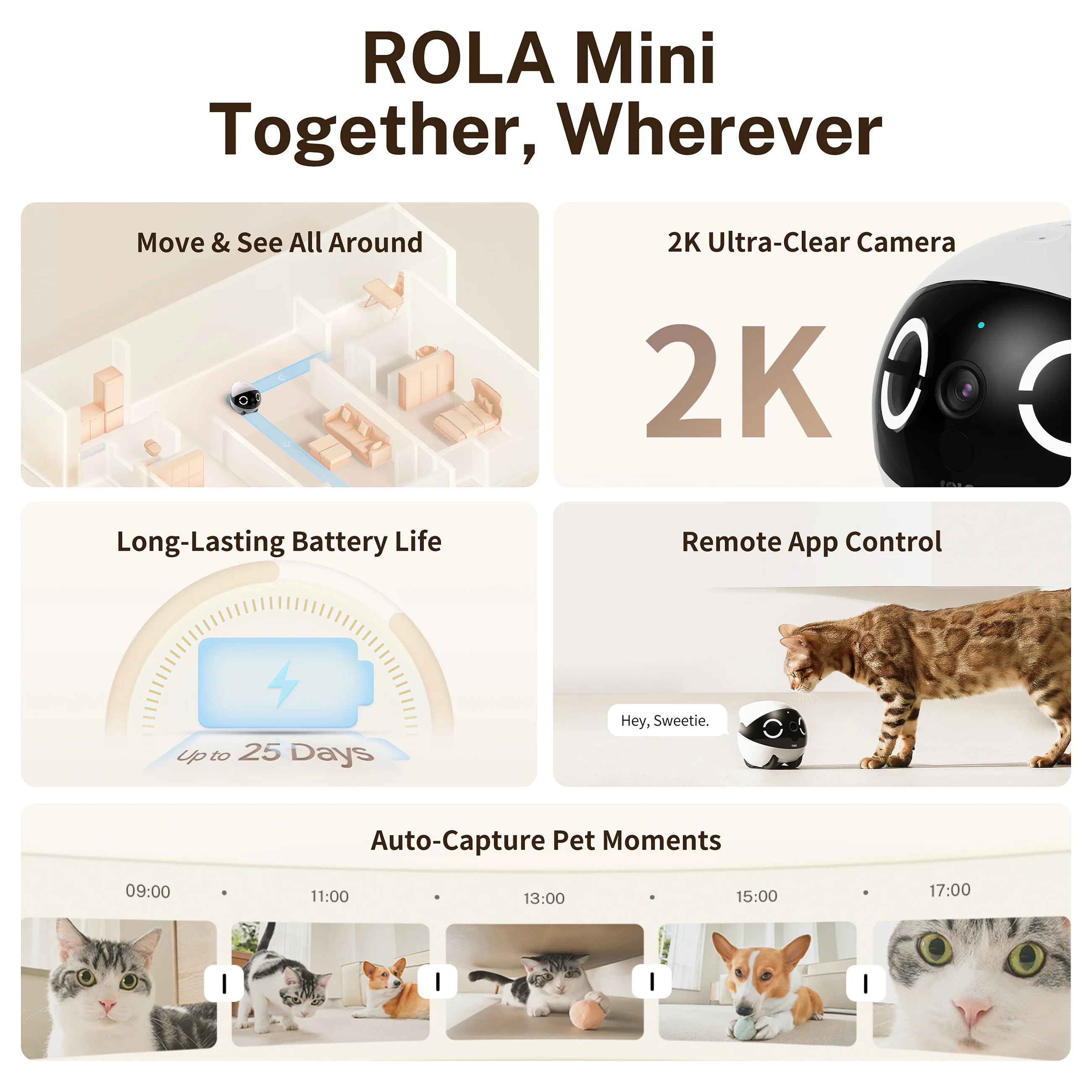 Enabot ROLA Mini Haustierbegleiter Ueberwachungskameras