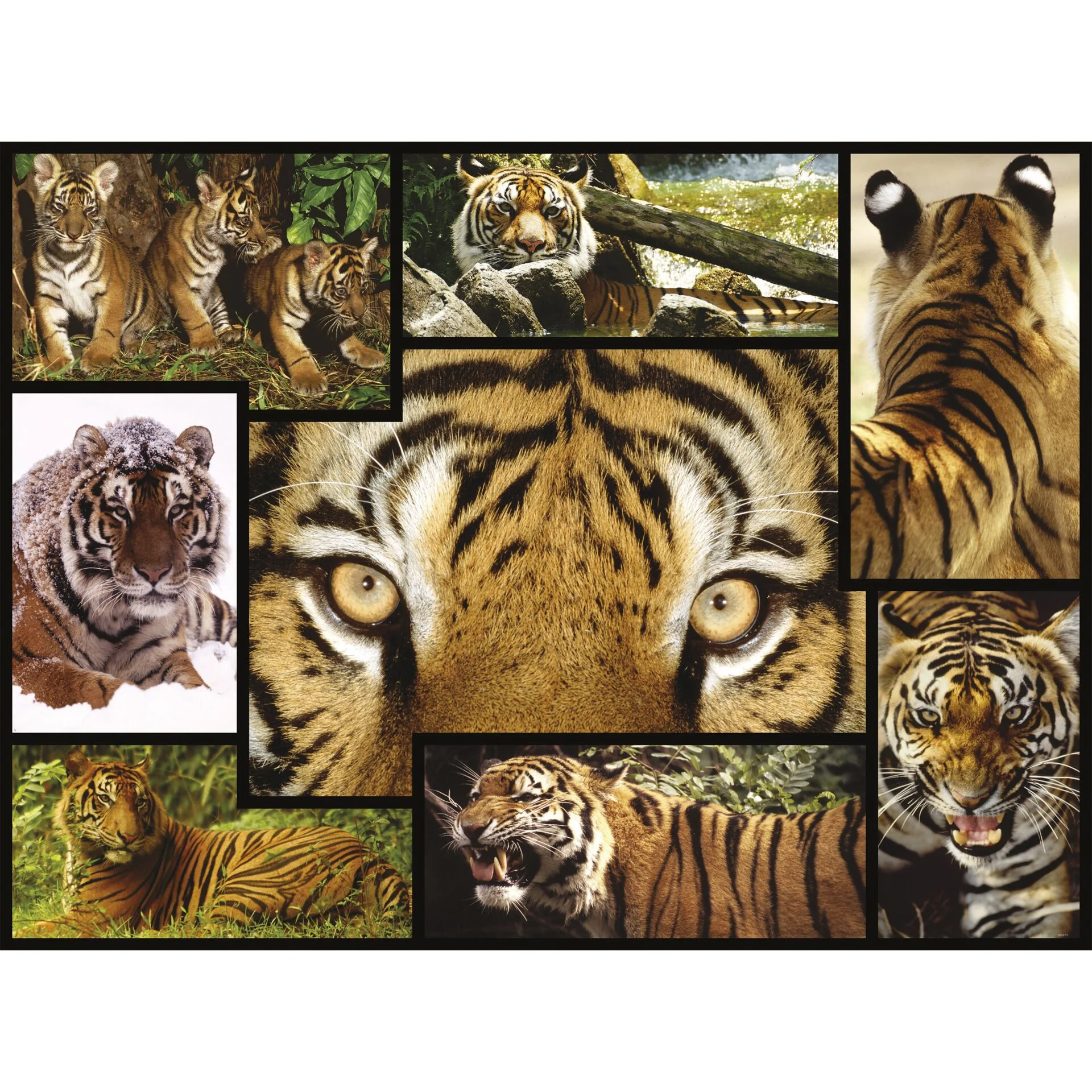 Ambassador Tiger 1000 Teile Spielwaren