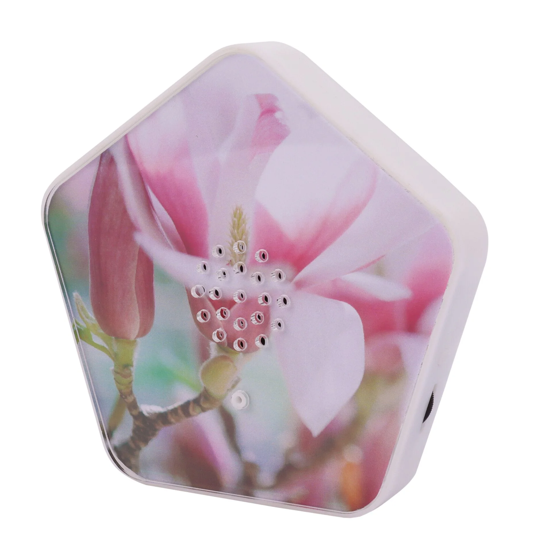 Olympia Olymp Nature BOX Wohnaccessoires