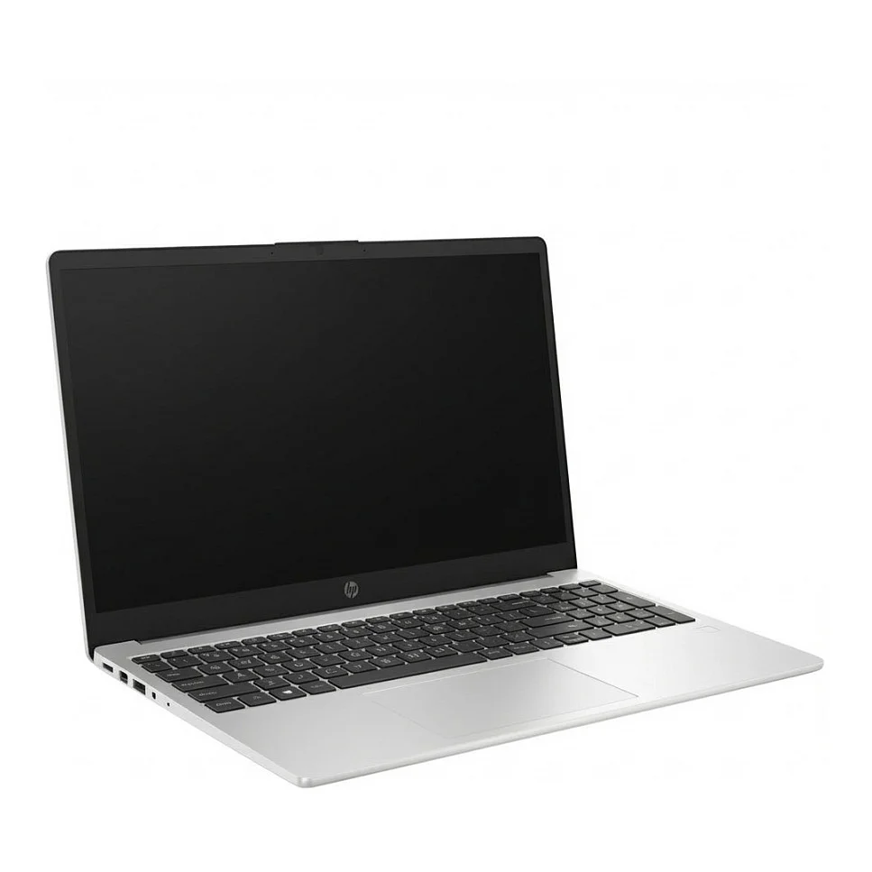 HP 250 G10 Intel  Prozessor N100 Notebook 39 6cm  15 6 Zoll  Notebooks