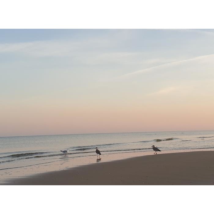 Ravensburger GraviTrax Erweiterung Set Looping Spielwaren