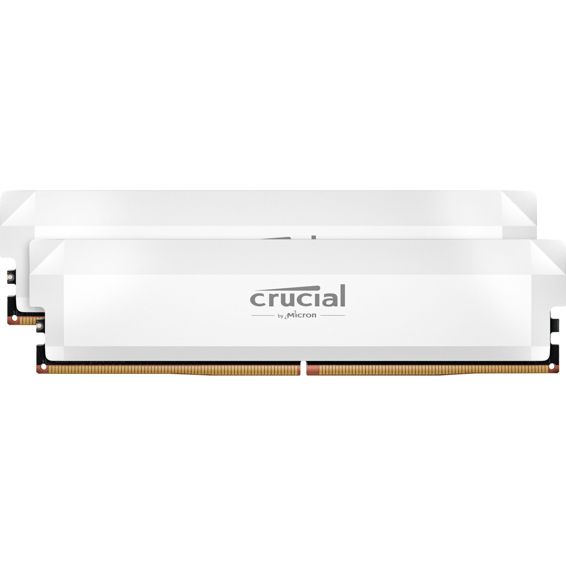 Crucial Pro DDR5 6000 Kit 32GB 2x16GB UDIMM white Overclocking Speichermedien