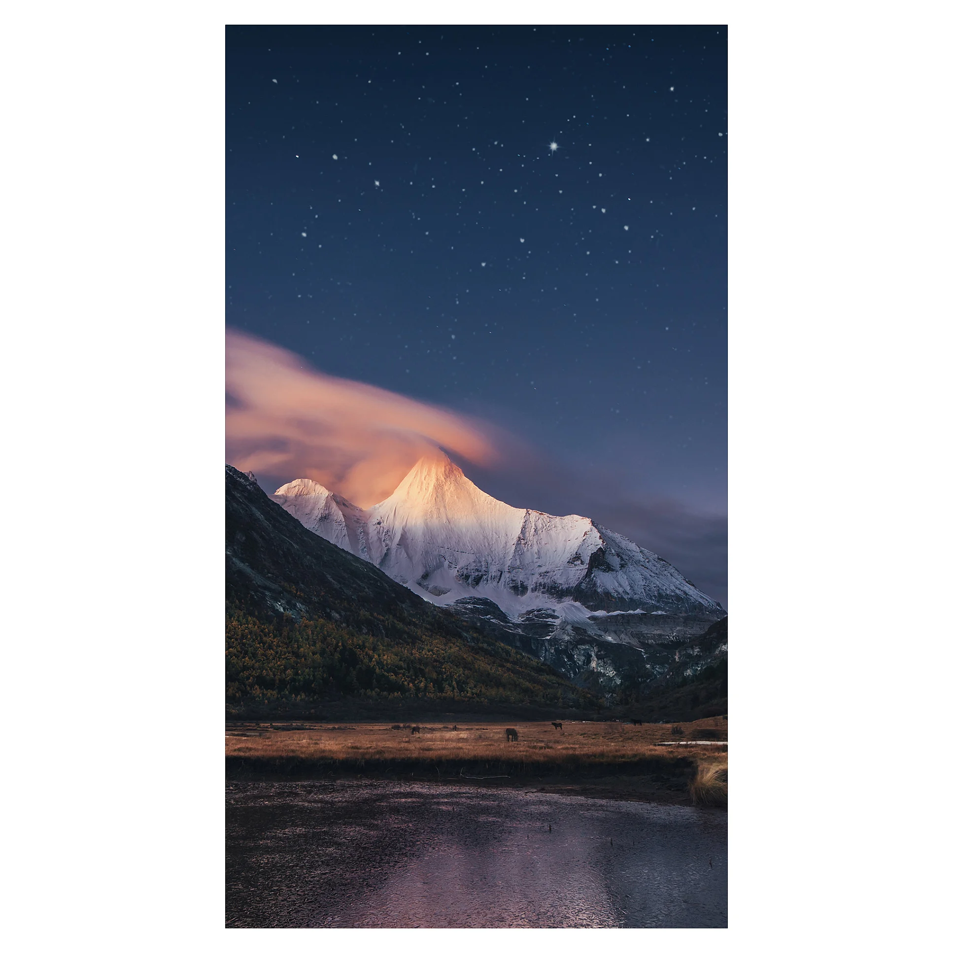 Samsung VM55C R LCD Drinnen Monitore