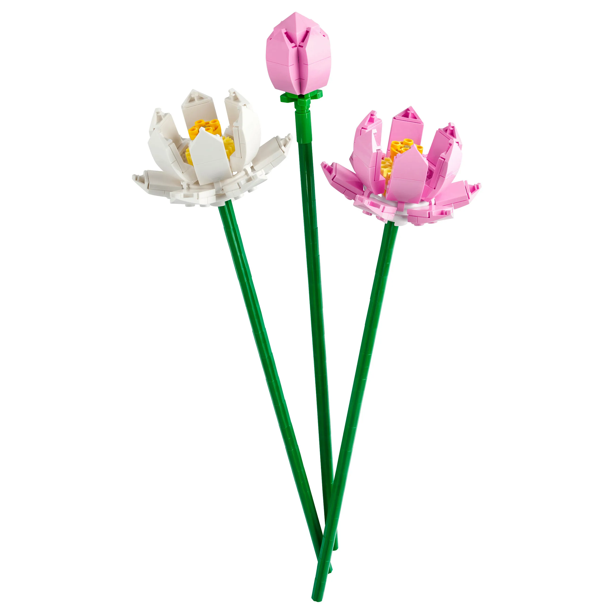 LEGO Botanical Collection Lotusblumen Spielwaren