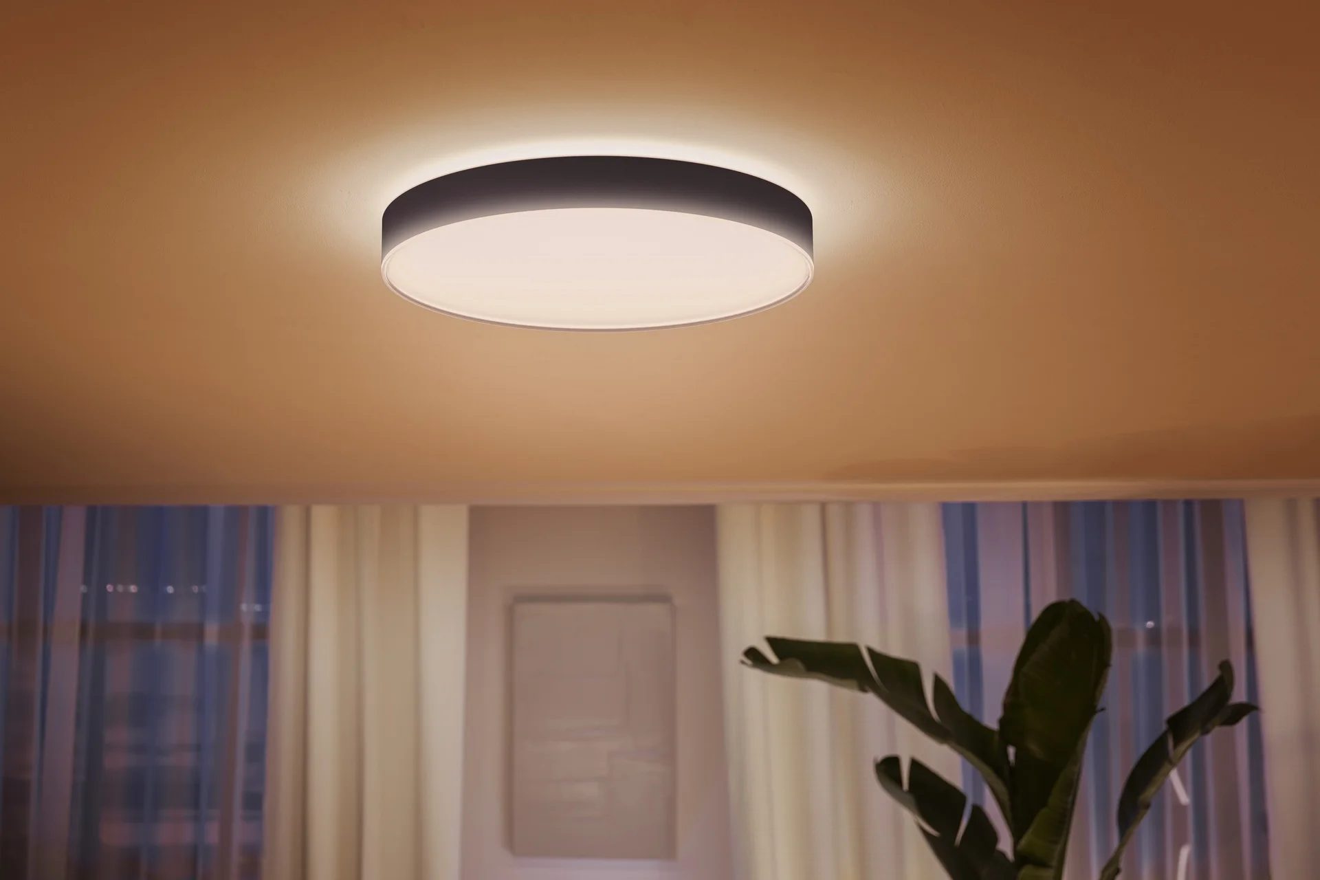 Philips Hue White ambience Enrave Deckenleuchte XL schwarz   Dimmschalter Deckenleuchten