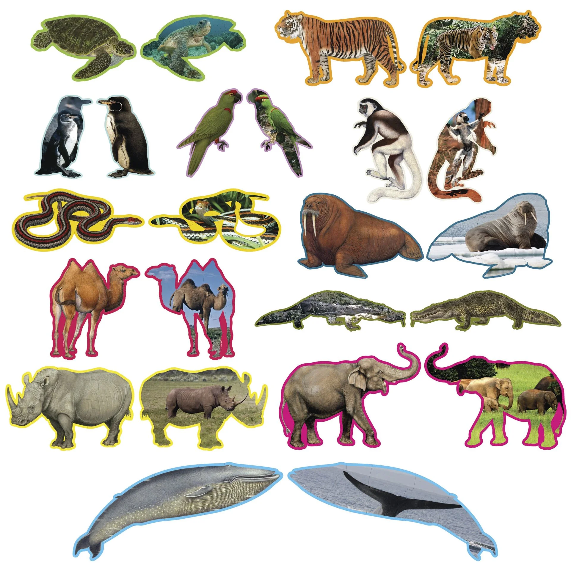 Ambassador 12 Tierpuzzles Spielwaren