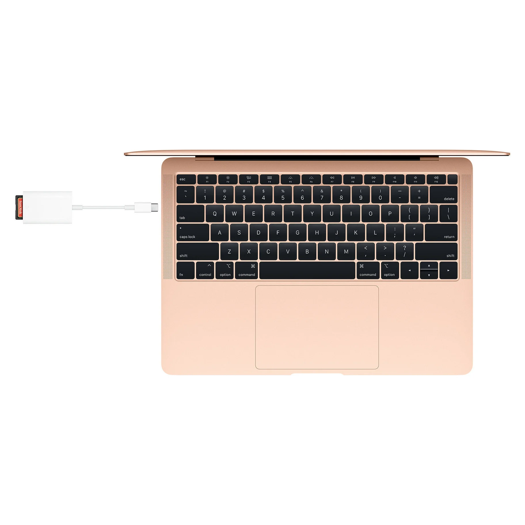 Apple usb c to sd card reader Notebook & Tablet Zubehoer