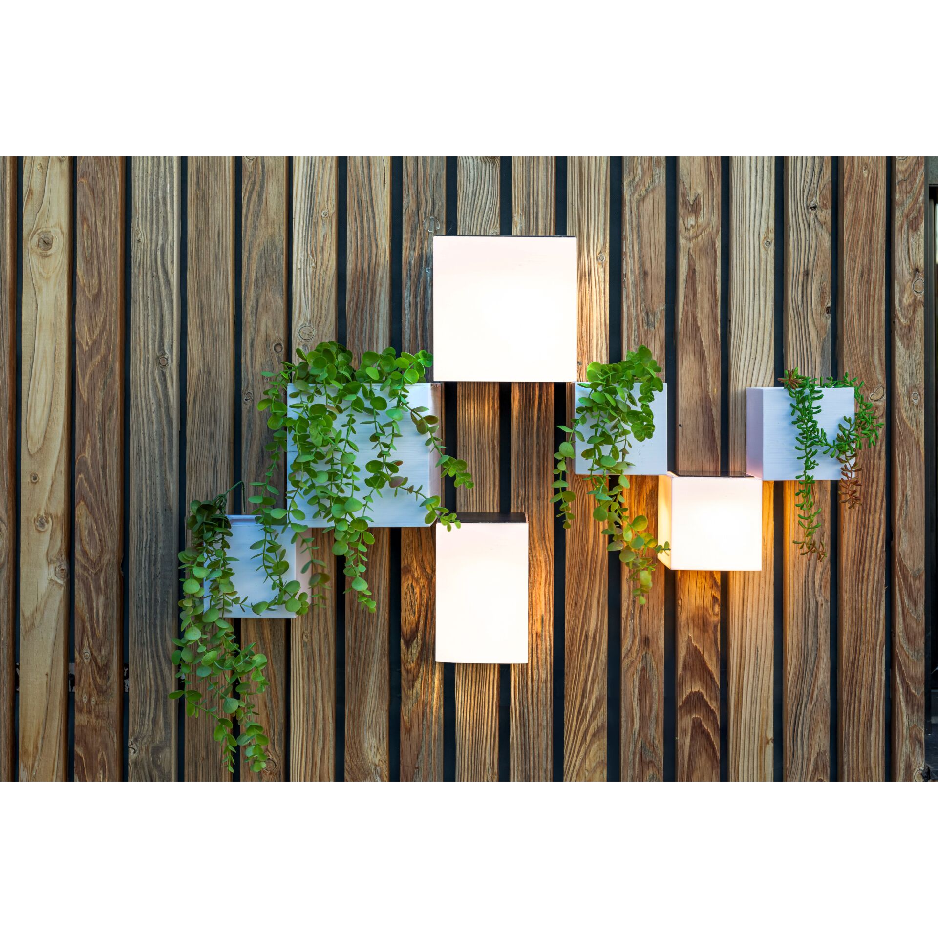 NewGarden New Garden WALLY 18X18X18 SOLAR WALL Beleuchtung