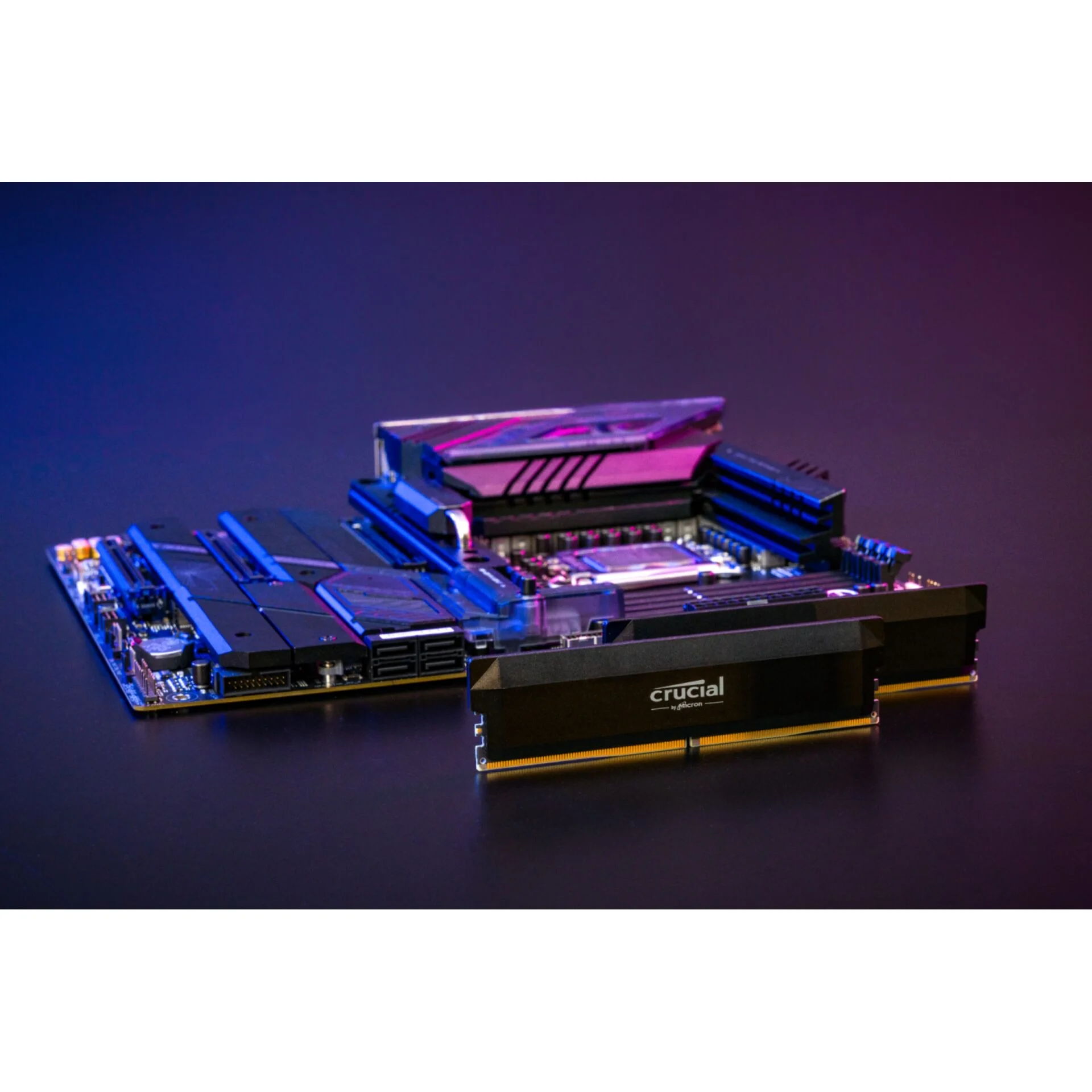 Crucial Pro DDR5 6000 Kit 64GB 2x32GB UDIMM CL40 B Overclocking Speichermedien