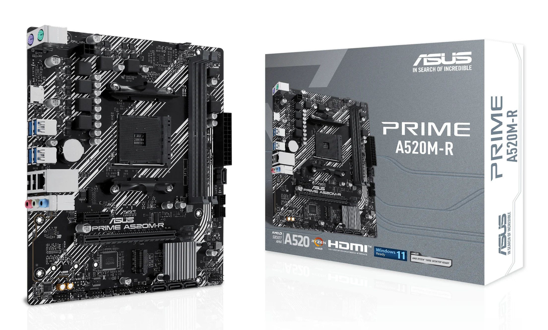 ASUS MB PRIME A520M R  AMD AM4 DDR4 mATX  PC-Zubehoer