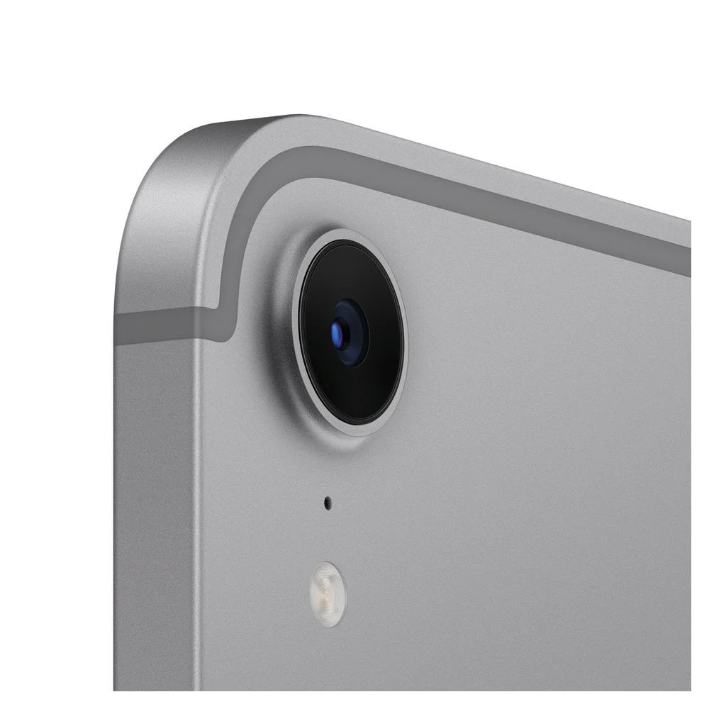 Apple ipad mini wi fi   cellular 256gb   space grey Notebooks & E-Book Reader