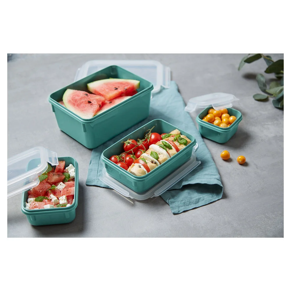 Emsa Frischhaltedosen Set Clip Close  4 tlg   gruen Kueche