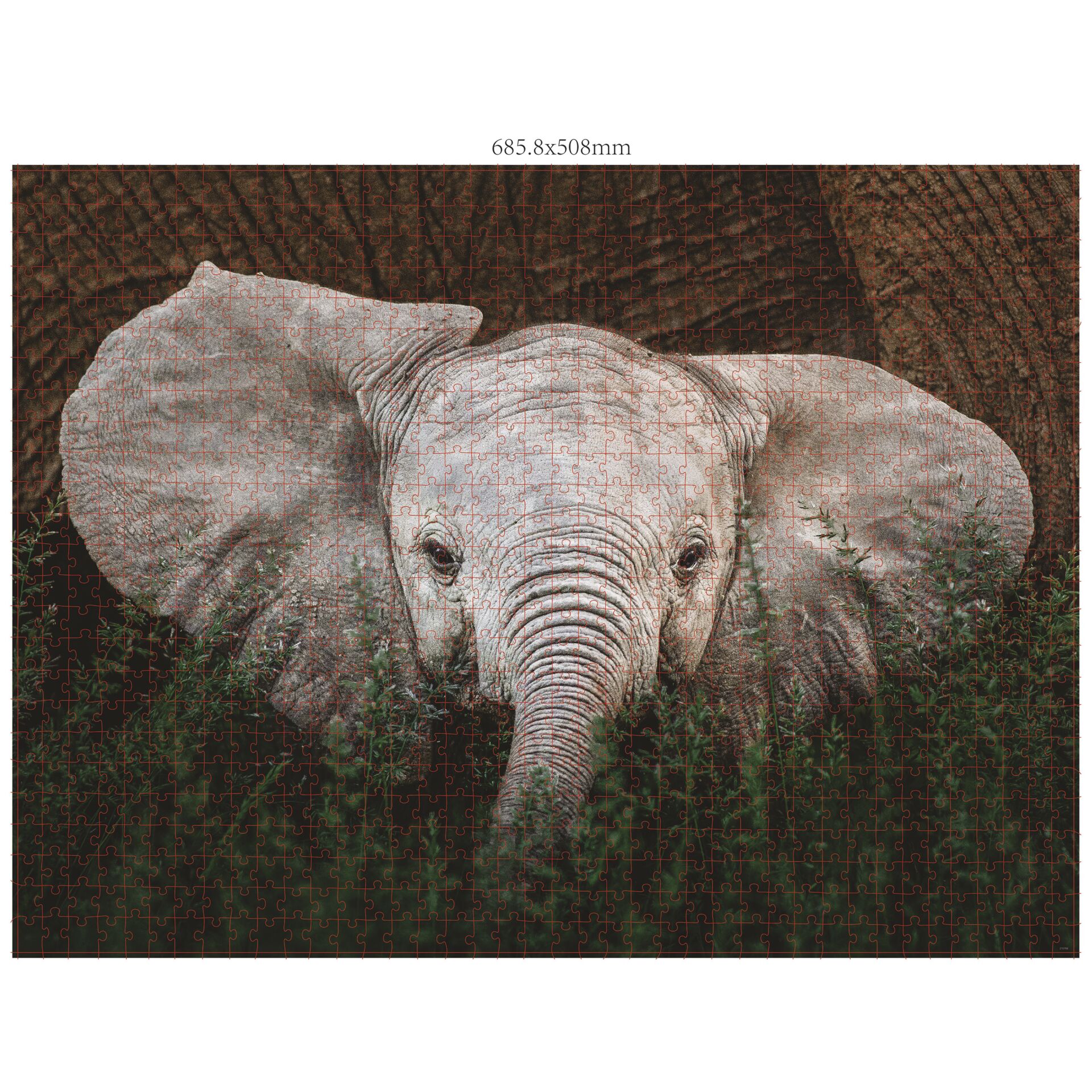 Ambassador Wildtiere 3x1000 Teile  Donal Boyd  Spielwaren