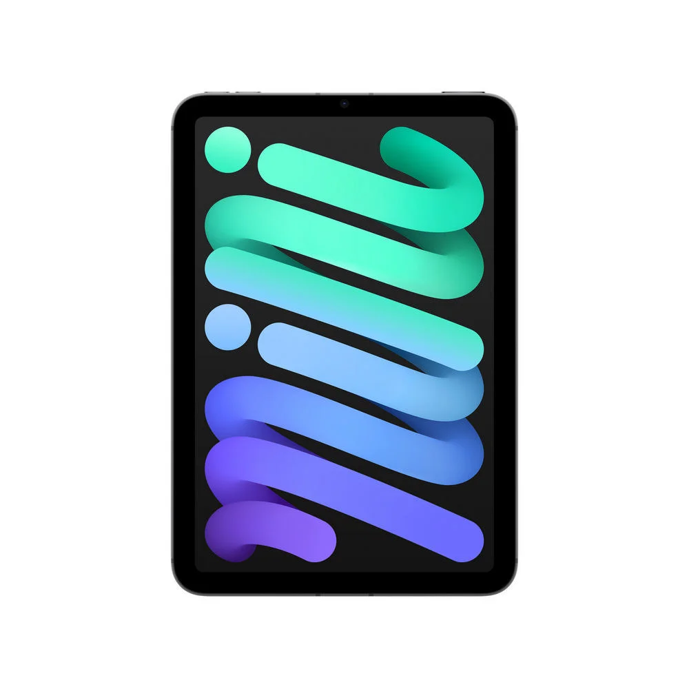 Apple ipad mini wi fi 256gb   space grey Notebooks & E-Book Reader