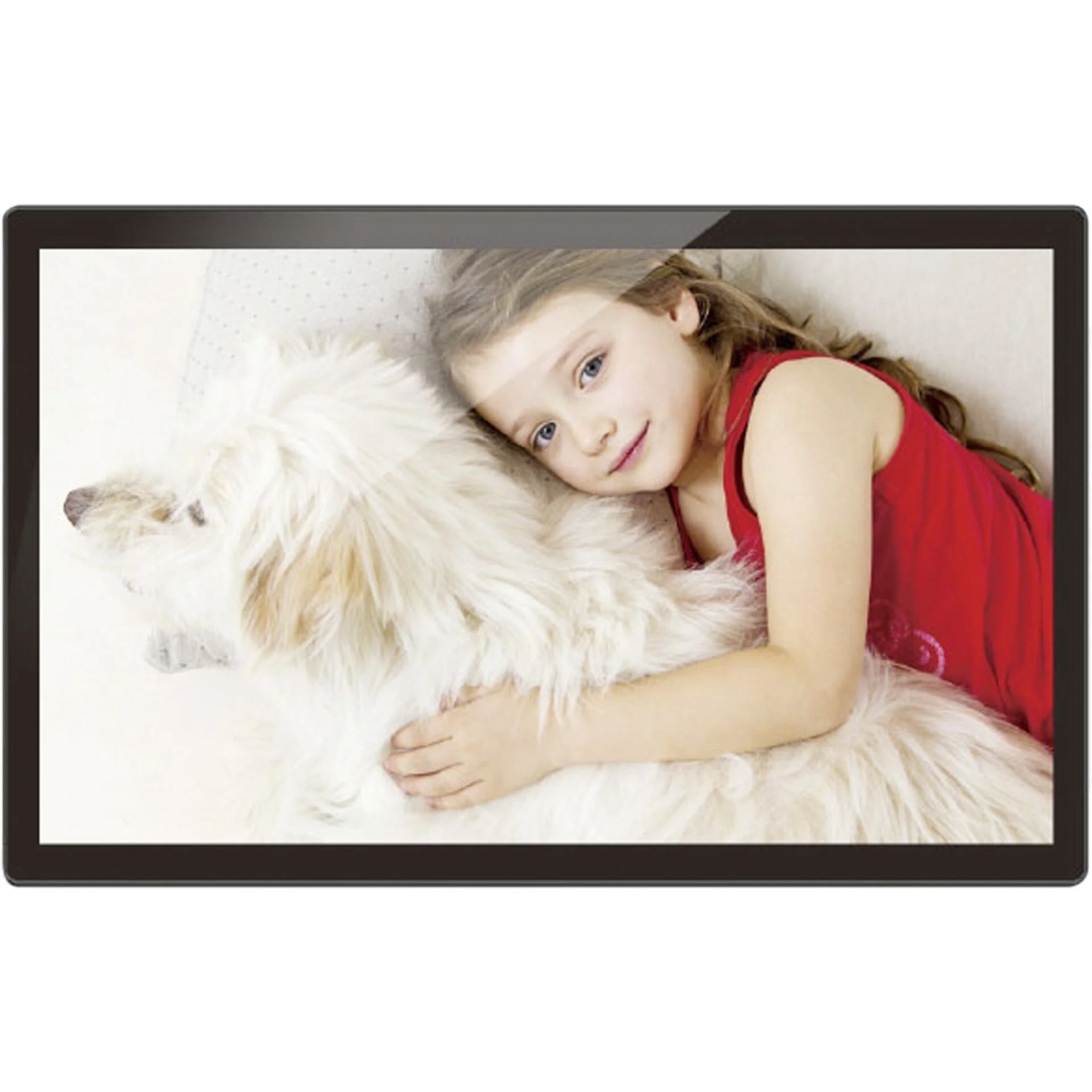 Braun DigiFrame 215 Business Line 54 61cm  21 5   Video & Audio