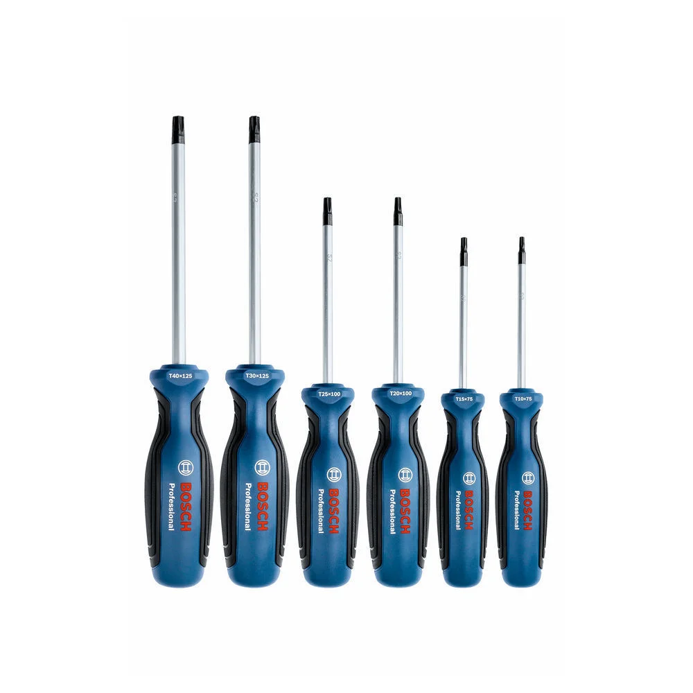 Bosch Professional Schraubendrehersatz TORX  6 tlg  Maschinen & Werkzeuge