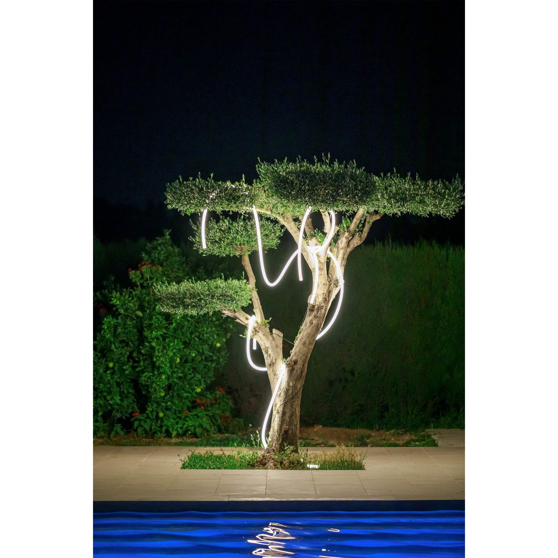 NewGarden New Garden NEO GARLAND Beleuchtung