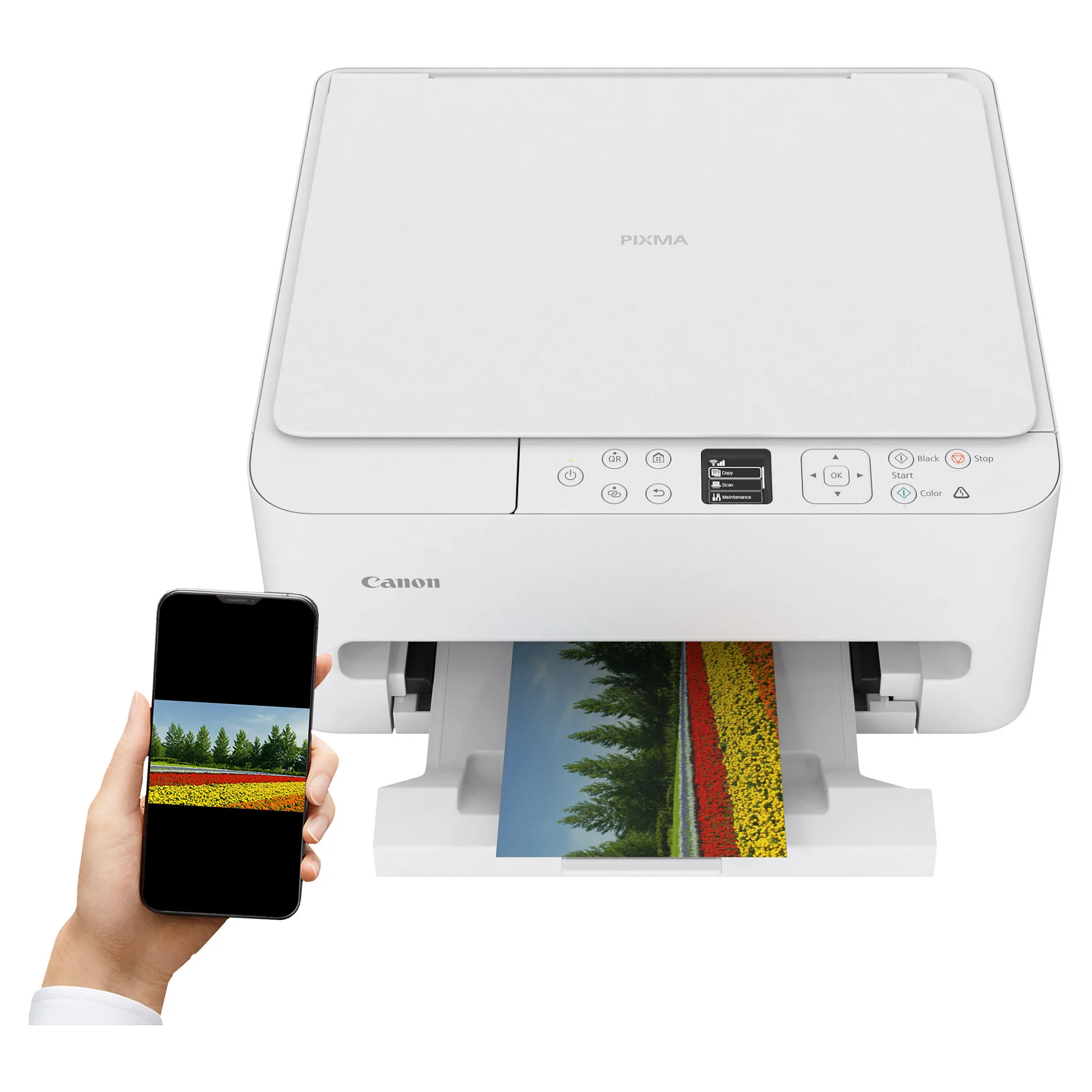 Canon PIXMA TS6550i Tintenstrahl A4 1200 x 1200 DPI WLAN Drucker & Scanner
