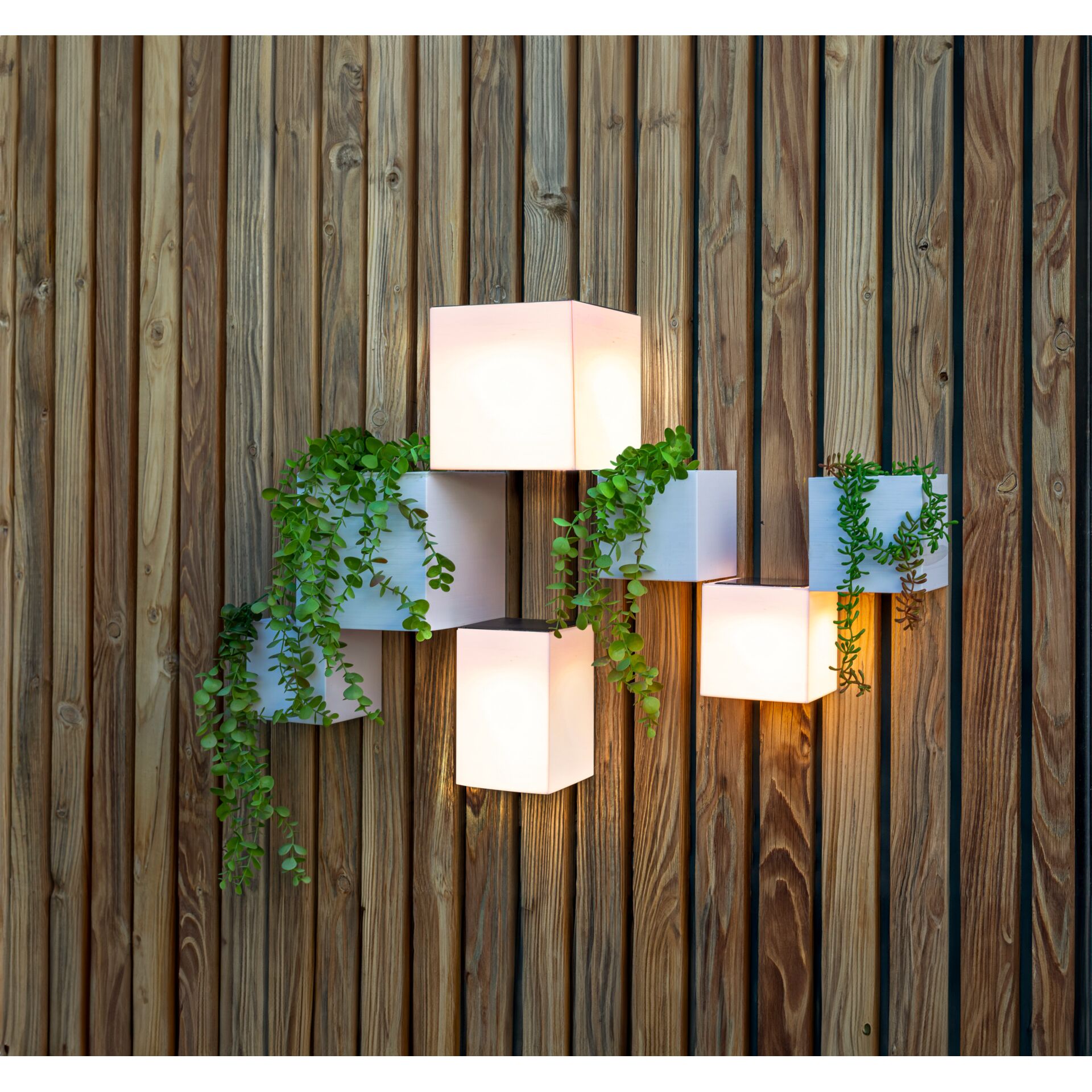 Newgarden WALLY 12X12X12 SOLAR WALL Wohnaccessoires